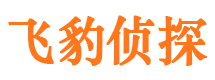 苏家屯捉小三公司